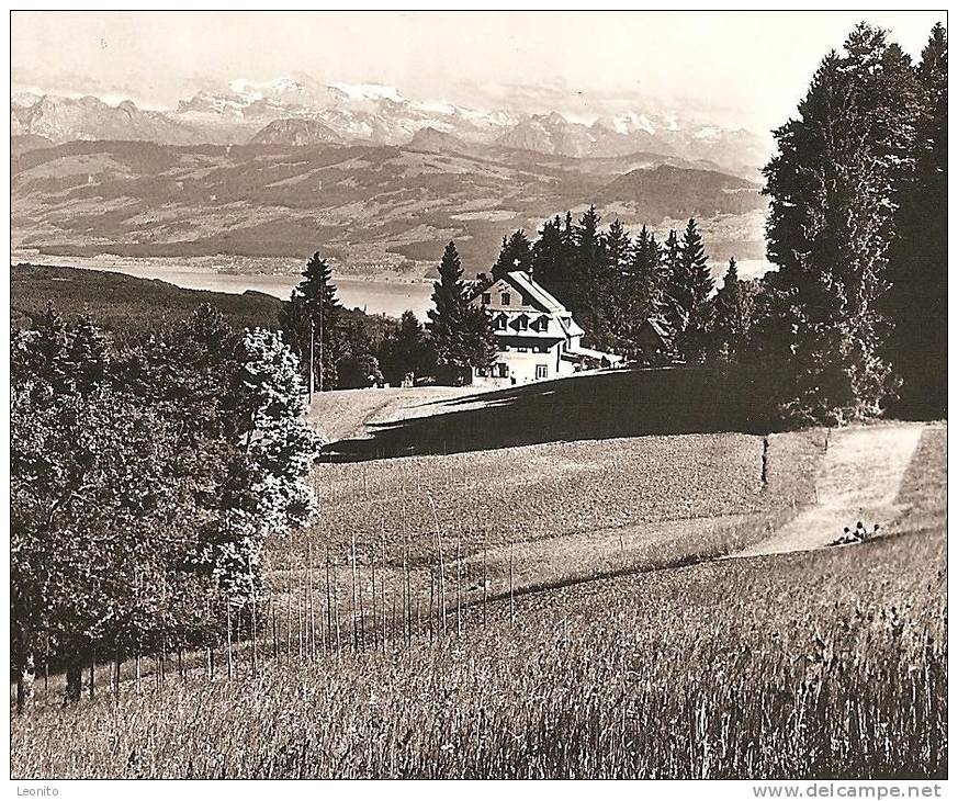 Hochwacht Pannenstiel Kulm Egg Zürich Blick Gegen Die Glarneralpen Ca. 1960 - Egg