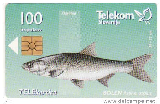 Slovenie, Chip 100 Units, Poissons, Petit Tirage - Slovénie