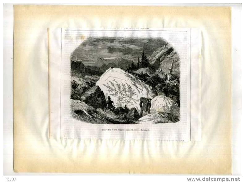 - EMPREINTE D´UNE FOUGERE ANTEDILUVIENNE . GRAVURE SUR BOIS DU XIXe S. . DECOUPEE ET COLLEE SUR PAPIER - Fossielen