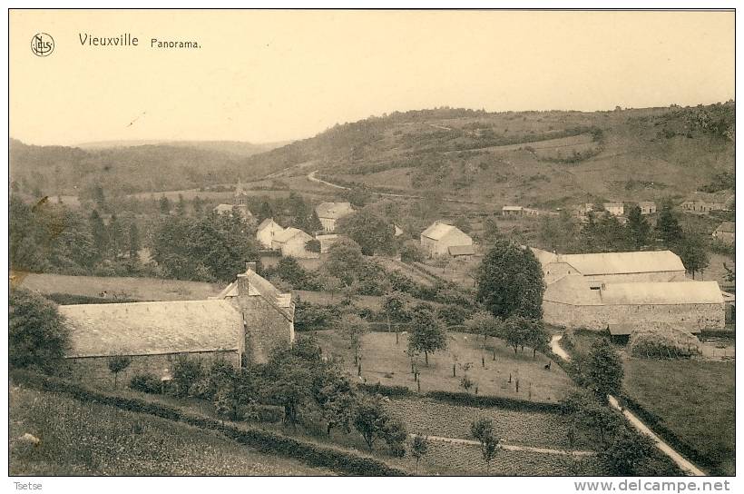 Vieuxville - Panorama... De La Localité - Ferrières