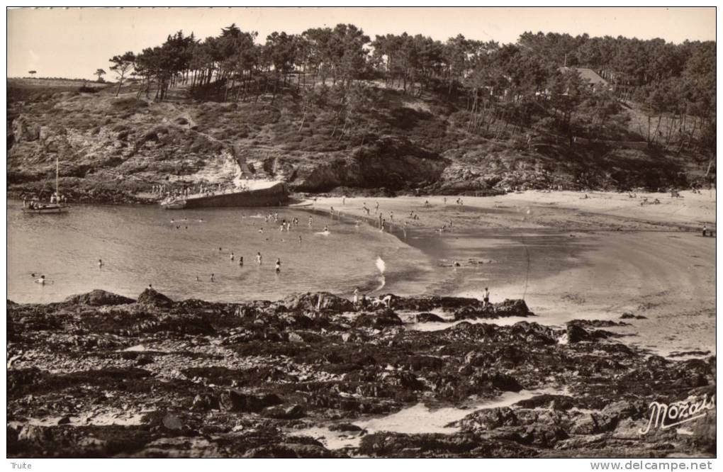 MOELAN-SUR-MER LA PLAGE ET LA POINTE DE KERFANY - Moëlan-sur-Mer