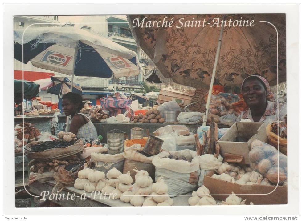 * CP Le Marché Saint Antoine, Pointe à Pitre, Guadeloupe * - Pointe A Pitre