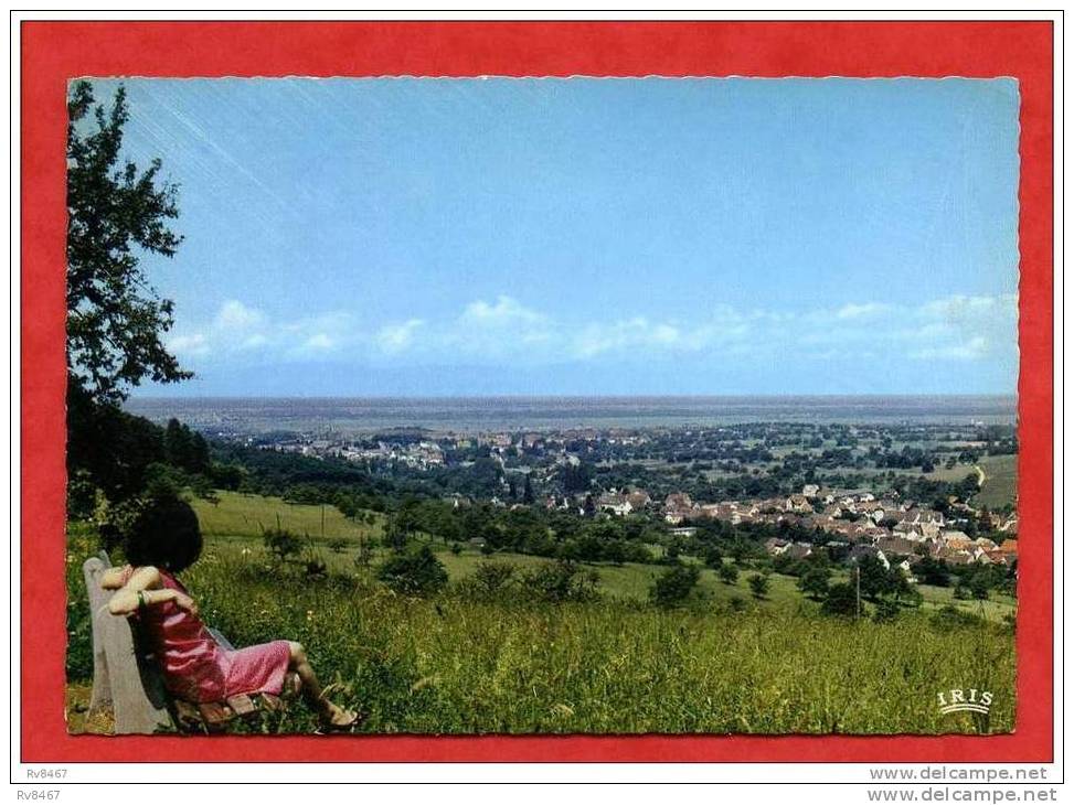 * MÜLLHEIM-Vue Panoramique-1967(POSTE AUX ARMEES...au Dos)-Femme - Muellheim