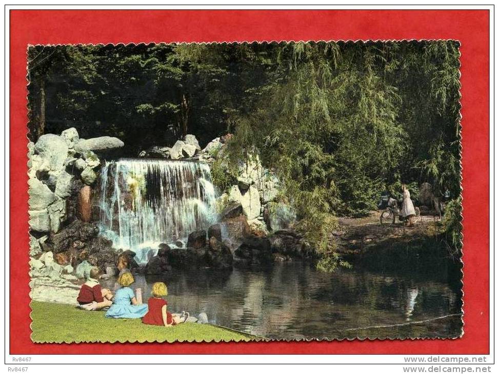 * ARNHEM-Waterval Sonsbeek-1961(3 Enfants) - Arnhem