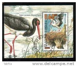 BULGARIA / BULGARIE - 2000 - Cigognes - Bl.obl. - Cigognes & échassiers