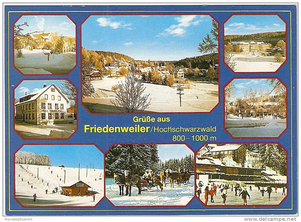 AK Grüße Aus Friedenweiler / Hochschwarzwald 800 - 1000 M Mehrbild 8 Bilder 14.-1.95 7982 TITISEE-NEUSTADT 1 M Nach Saal - Esslingen