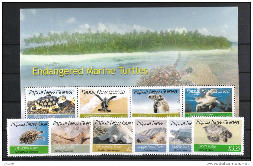 TORTUES TURTLES SCHILDKRÖTE PAPUA NEW GUINEA - Schildpadden