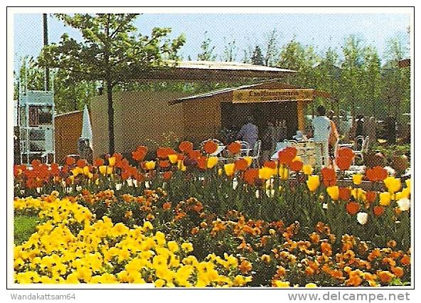 AK LANDESGARTENSCHAU BÖBLINGEN Mehrbild 4 Bilder -2.-8.96.-19 71034 BÖBLINGEN 1 Mg Nach Sulzbach-Rosenberg - Esslingen