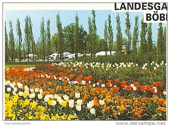 AK LANDESGARTENSCHAU BÖBLINGEN Mehrbild 4 Bilder -2.-8.96.-19 71034 BÖBLINGEN 1 Mg Nach Sulzbach-Rosenberg - Esslingen