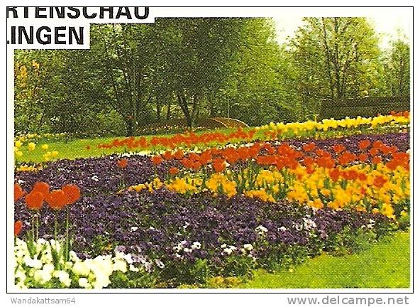 AK LANDESGARTENSCHAU BÖBLINGEN Mehrbild 4 Bilder -2.-8.96.-19 71034 BÖBLINGEN 1 mg nach Sulzbach-Rosenberg