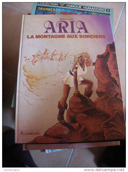 EO ARIA T2 LA MONTAGNE AUX SORCIERES    WEYLAND - Aria