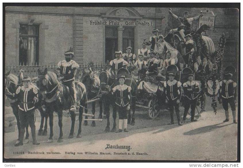 Germany - Neustadt - Bacchuszug - Carriage - Carnaval