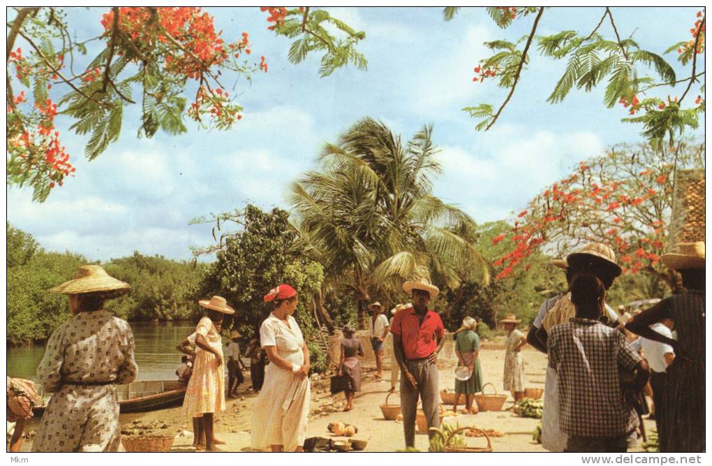 Martinique Trois-Rivieres Le Marché Sous Les Flamboyants - Dominikanische Rep.