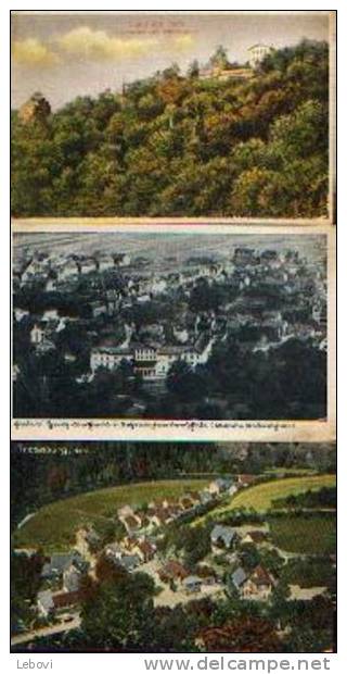 Allemagne - Lot De 3 CV (TRESEBURG & THALE AM HARZ" - Sammlungen & Sammellose