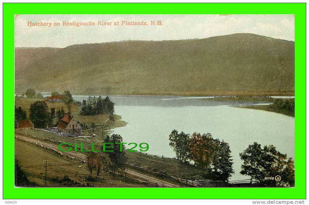 FLATLANDS, NB - HATCHERY ON RESTIGOUCHE RIVER - J.V. - TRAVEL IN 1915 - VALENTINE & SONS - - Autres & Non Classés