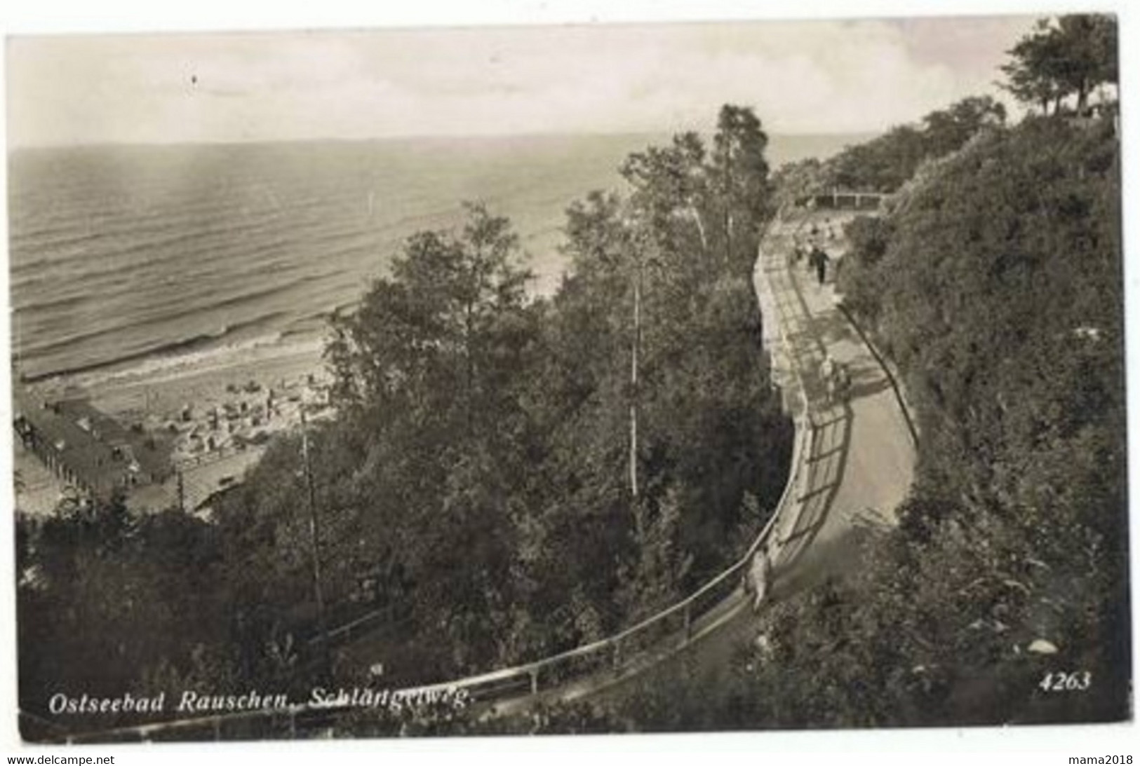 Carte Postale  Photo  Allemande - Ostpreussen