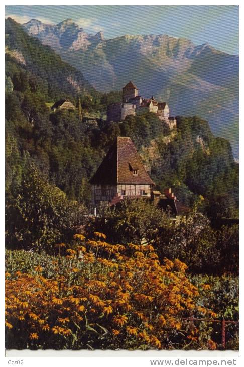 Vaduz Schloss Gegen Rappenstein Und Falknis - Liechtenstein