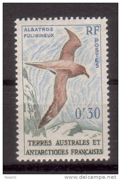 Taaf 1959 Mi Nr 14 Albatros 0,30 C - Unused Stamps