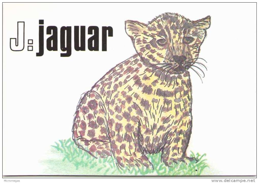 Jean-Claude SIZLER - Animalphabet - J : Jaguar - Sizi