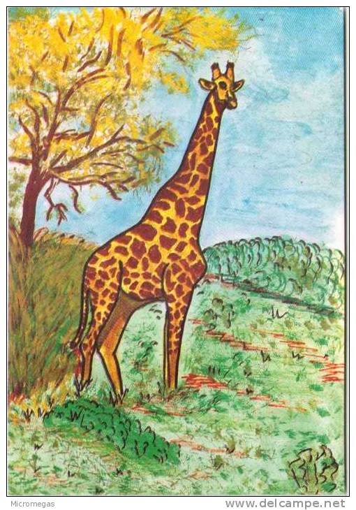 Jean-Claude SIZLER - Animalphabet - G : Girafe - Sizi