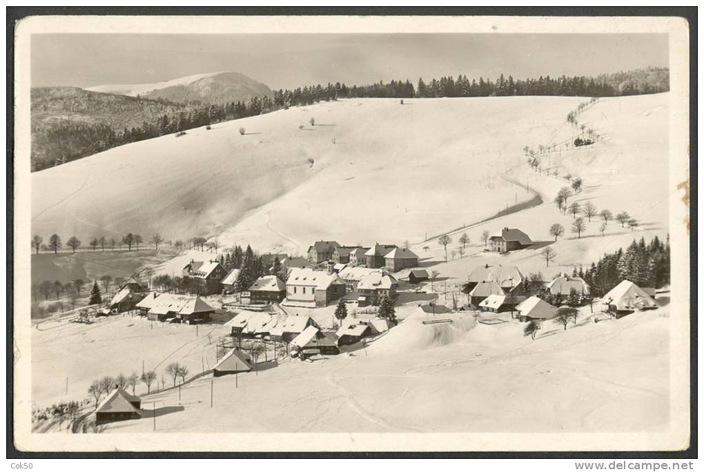 TODTNAUBERG (Schwarzwald) Mit Blick Auf Den Belchen - Todtnau