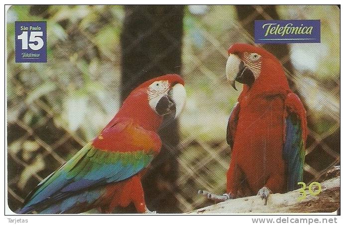 TARJETA DE BRASIL DE DOS PAPAGAYOS  (PARROT-LORO-BIRD-PAJARO) - Loros