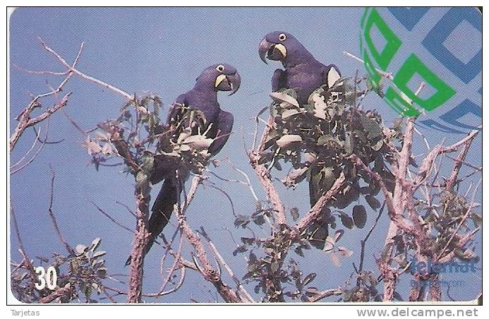 TARJETA DE BRASIL DE DOS PAPAGAYOS  (PARROT-LORO-BIRD-PAJARO) - Parrots
