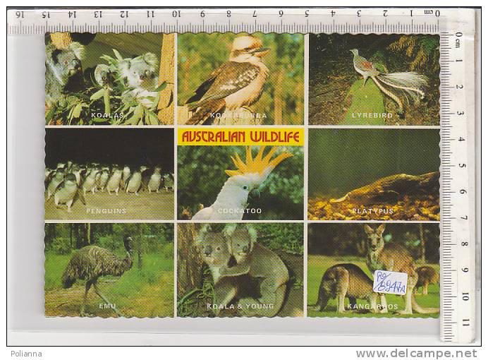 PO8947A# AUSTRALIA - AUSTRALIAN WILDLIFE - ANIMALI - UCCELLI - KOOKABURRA - LYREBIRD  VG 1983 - Altri & Non Classificati