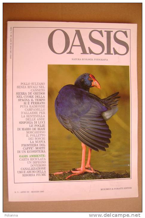 PAU/2 Rivista OASIS 1987/POLLO SULTANO/SIERRA DE GREDOS/PUYA RAIMONDII Delle ANDE/MARIO DE BIASI - Natura