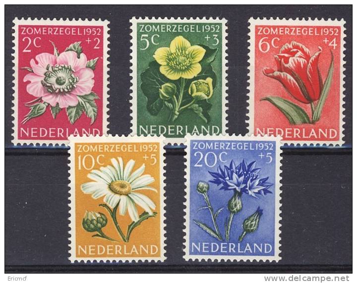 Netherlands 1952 Charity Flowers Zomerzegel MNH(**) - Ongebruikt