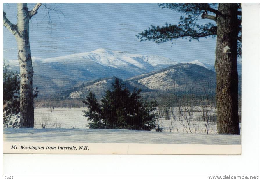 Mt. Washington From Intervale, New Hampshire 1973 - White Mountains