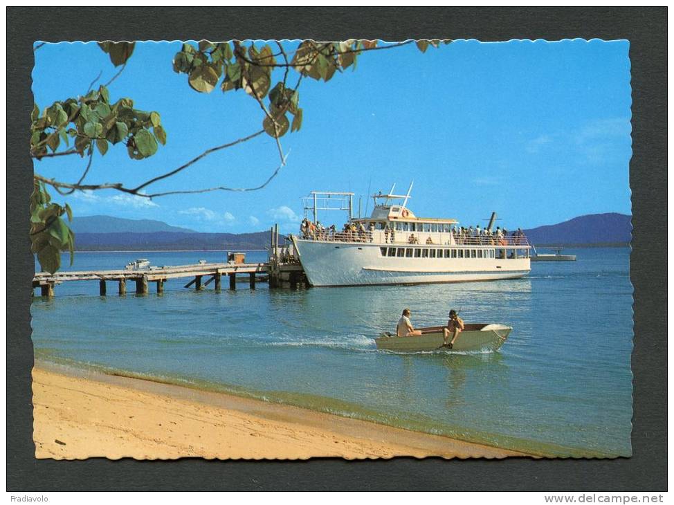 Australie - Dunk Isle - North Queensland - -  Purtaboi 11 & Dunk Isle Jetty - Otros & Sin Clasificación