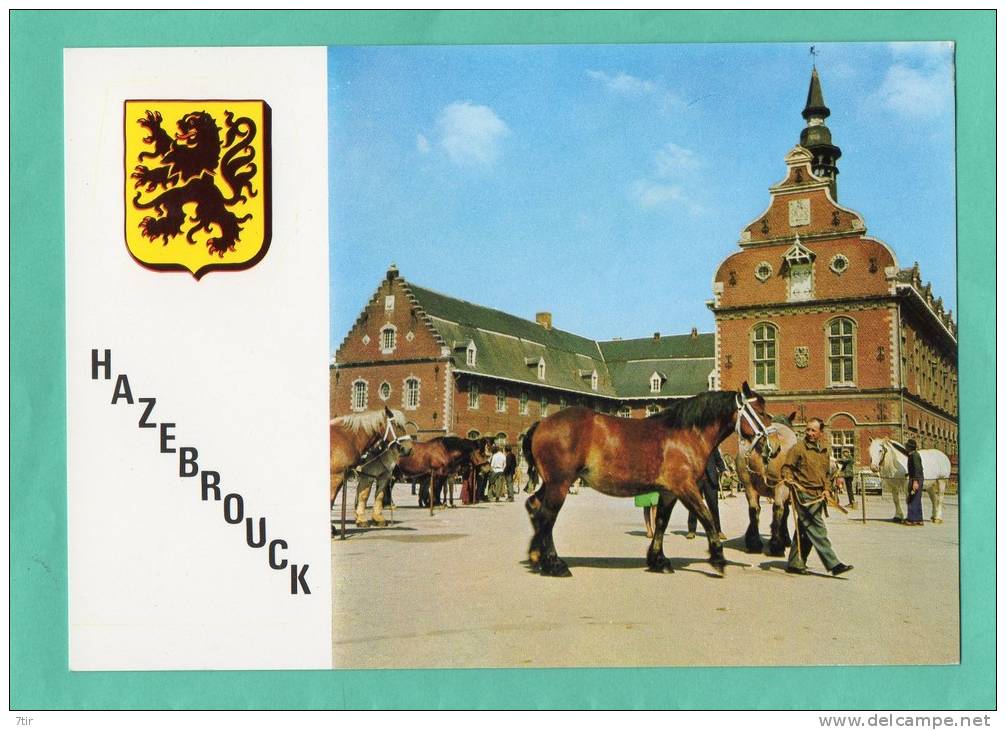 HAZEBROUCK LE MUSEE LE MARCHE AUX CHEVAUX - Hazebrouck