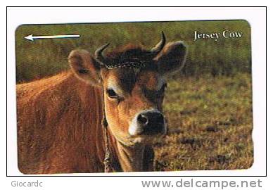 JERSEY TELECOMS (GPT)  - 1994  JERSEY COW  (CODE 27JERA)   - USED ° -  RIF. 4345 - Cows