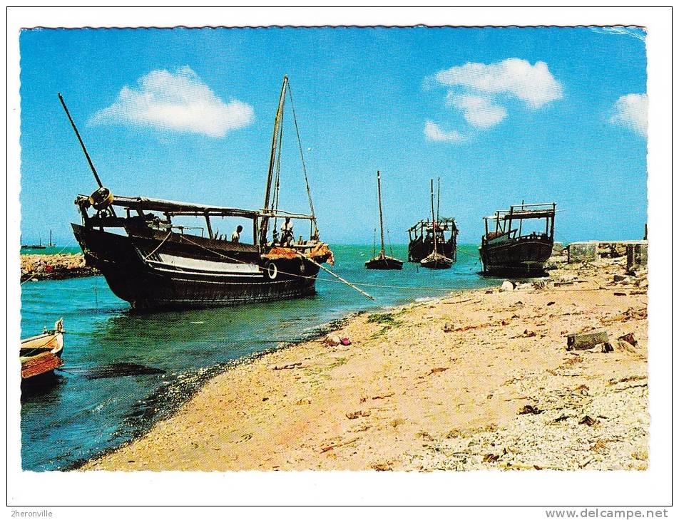 CPSM - BAHRAIN - Dhows - Bahreïn