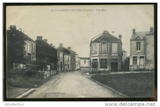 85 SAINT FLORENT DES BOIS /         Une Rue    / - Saint Florent Des Bois