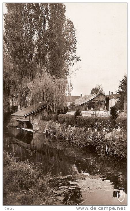 D41 - DROUE - BORDS DE L'EGEVONNE - Droue