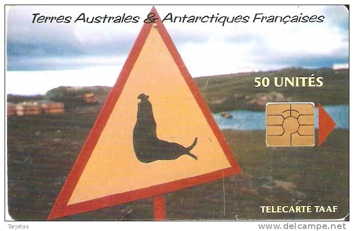 TARJETA DE TAAF ATTENTION ELEPHANT DE MER 50U TIRAGE 1500 - TAAF - French Southern And Antarctic Lands