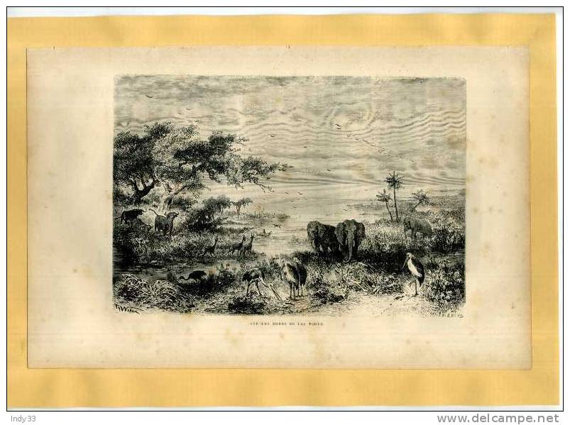 - SUR LES BORDS DU LAC TCHAD . GRAVURE SUR BOIS DU XIXe S.   DECOUPEE ET COLLEE SUR PAPIER - Prints & Engravings