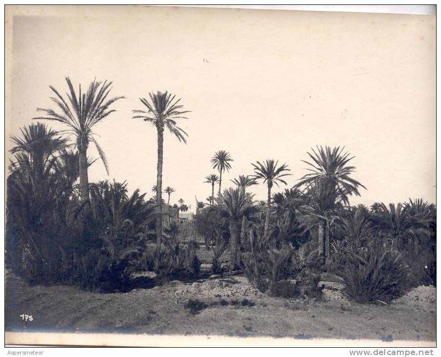 SKOURA CIRCA 1910 PHOTO RARE MAROC MARRUECOS MOROCCO - Otros & Sin Clasificación