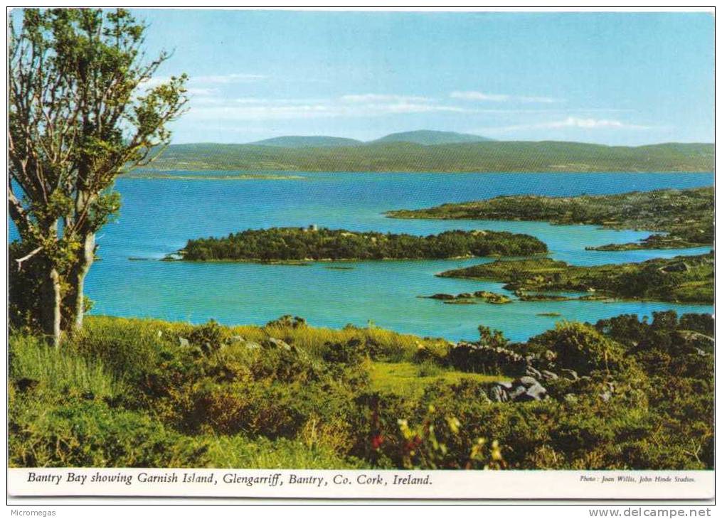 Bantry Bay Showing Garnish Island - Glengariff - Bantry - Cork