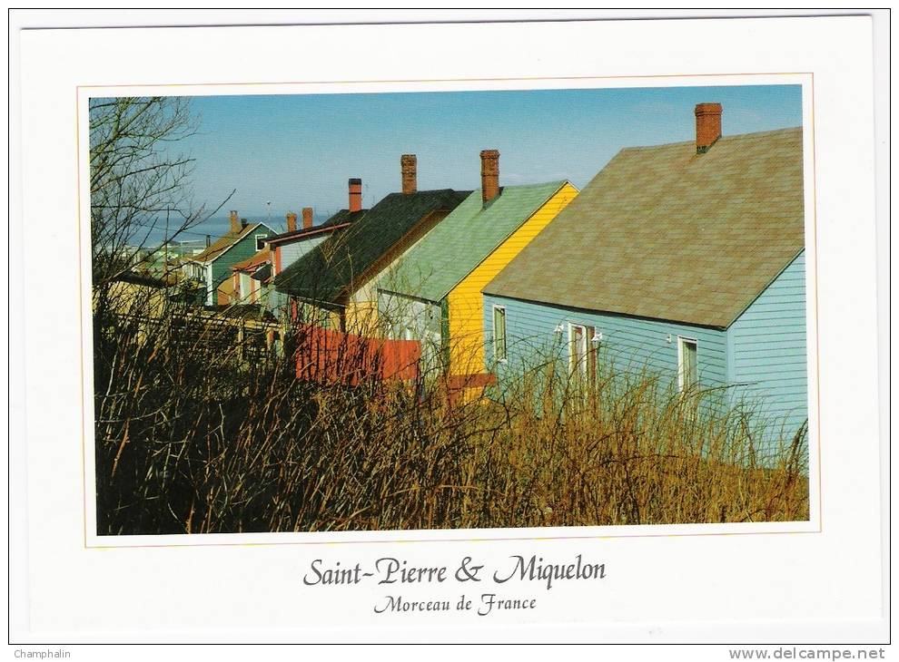 Saint-Pierre Et Miquelon - Saint-Pierre - A L'arrière Des Tambours - Maisons - Saint-Pierre Und Miquelon