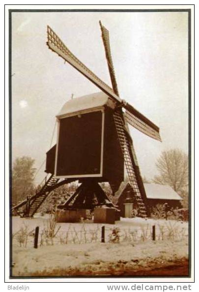 ZITTAART Bij Meerhout (Antw.) - Molen/moulin - Mooie Winteropname Van De Haanvense Molen Met Open Voet (close-up) - Meerhout