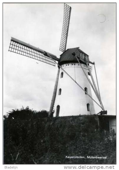 MOLENBEERSEL Bij Kinrooi (Limb.) - Molen/moulin - Mooie Close-up Van De Keijersmolen (oudere Opname: 1981) - Kinrooi