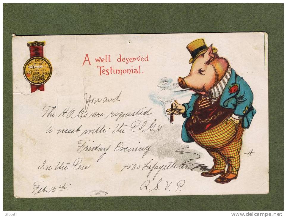 Cpa Originale Signée H - Illustrateur - 1904 - Cochon Humanisé, Cigare, Humanized Pig - Other & Unclassified