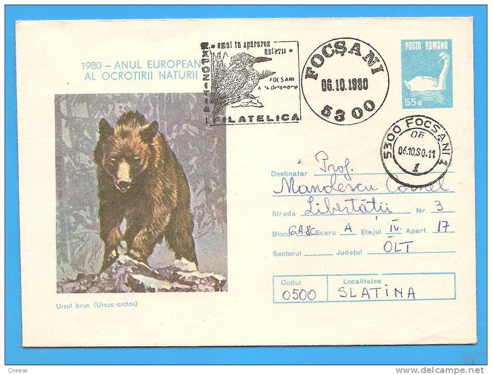 Bear, Ours. ROMANIA Postal Stationery Cover 1980 - Bears