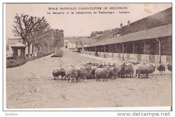 GRIGNON ECOLE NATIONALE D'AGRICUTURE LA BERGERIE ET LA LABORATOIRE DE TECHNOLOGIE LAITERIE (TROUPEAU DE MOUTONS) - Grignon