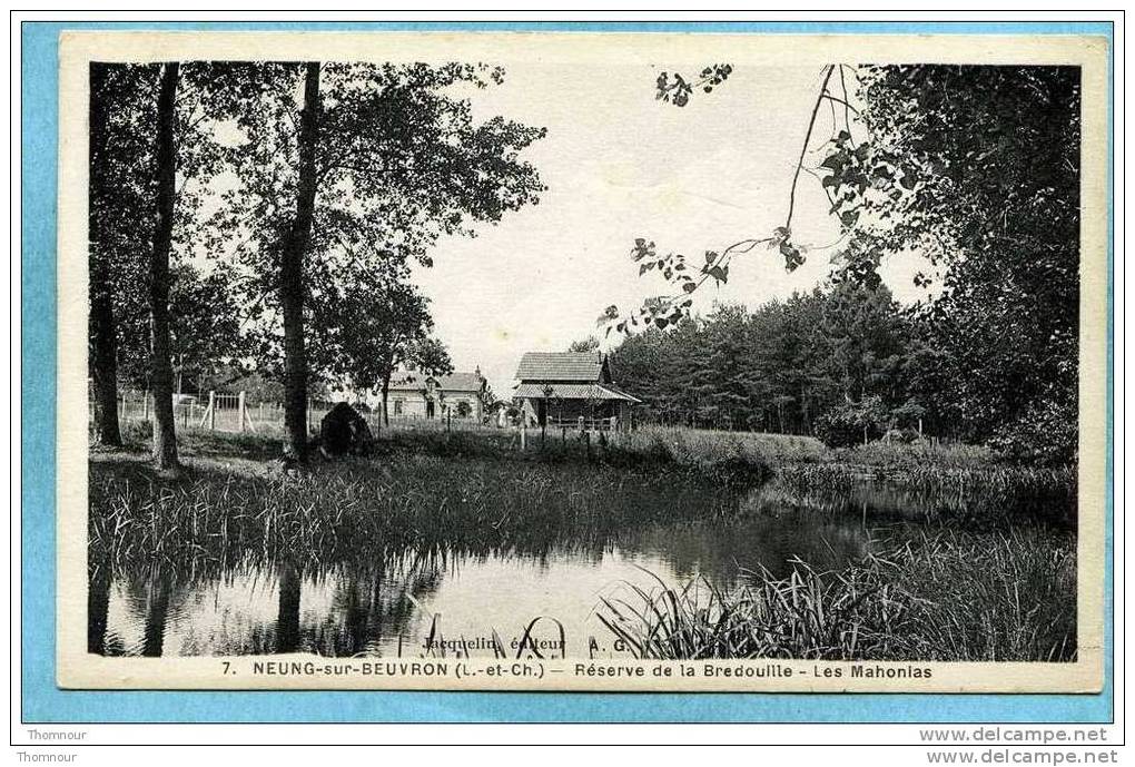 41  -  NEUNG-sur-BEUVRON  -  Réserve  De  La  Bredouille - Les Mahonias  -  1941   -  BELLE CARTE  - - Neung Sur Beuvron