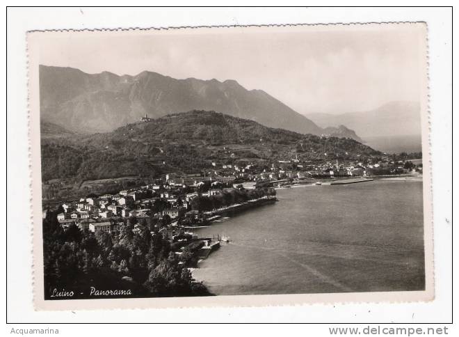 LUINO - Panorama - Cartolina FG BN V 1951 - Luino