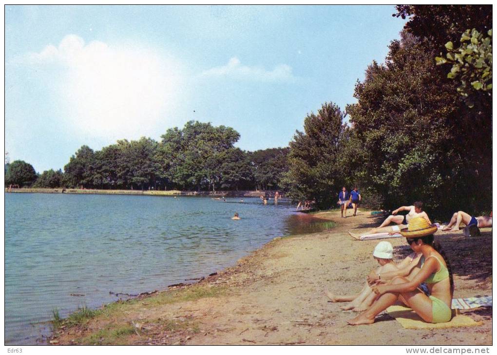 [58] Nièvre > Non Classés Saint Saulge L Etang Du Merle - Autres & Non Classés